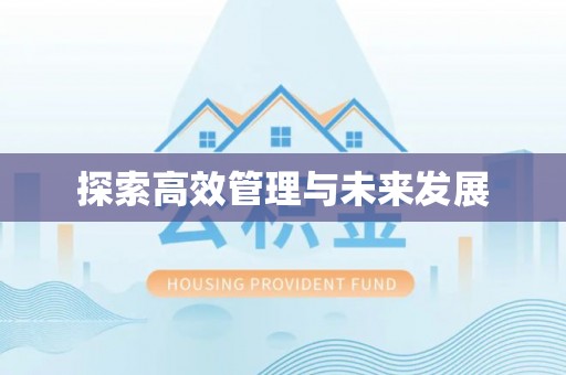 田东探索高效管理与未来发展