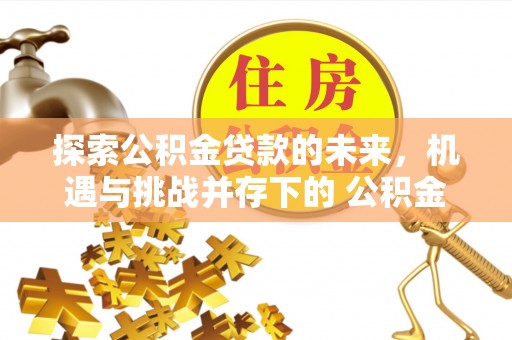田东探索公积金贷款的未来，机遇与挑战并存下的 公积金贷款风险防控