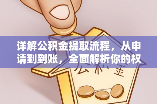 田东详解公积金提取流程，从申请到到账，全面解析你的权益与操作步骤