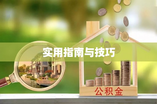 田东实用指南与技巧