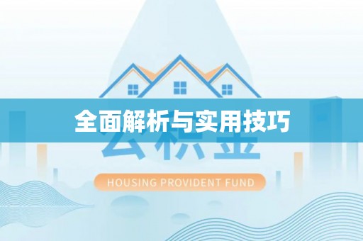 田东全面解析与实用技巧