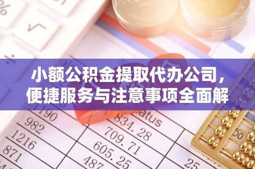 田东小额公积金提取代办公司，便捷服务与注意事项全面解析