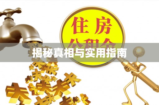 田东揭秘真相与实用指南