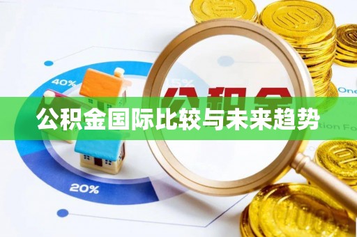 田东公积金国际比较与未来趋势