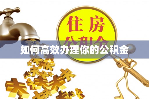 田东如何高效办理你的公积金