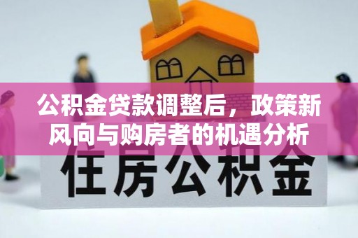 田东公积金贷款调整后，政策新风向与购房者的机遇分析