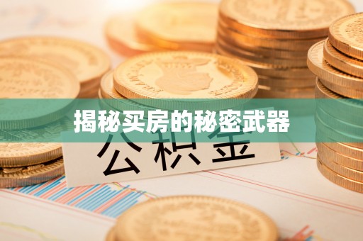 田东揭秘买房的秘密武器