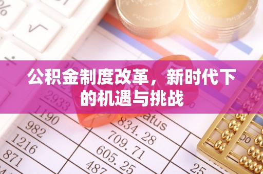 田东公积金制度改革，新时代下的机遇与挑战