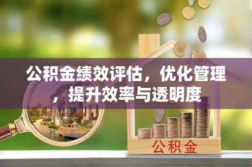 田东公积金绩效评估，优化管理，提升效率与透明度