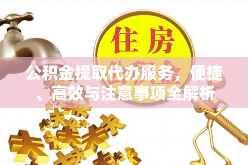 田东公积金提取代办服务，便捷、高效与注意事项全解析