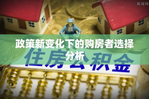 田东政策新变化下的购房者选择分析