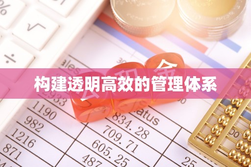 田东构建透明高效的管理体系