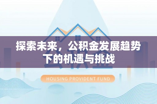 田东探索未来，公积金发展趋势下的机遇与挑战