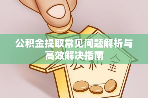 田东公积金提取常见问题解析与高效解决指南