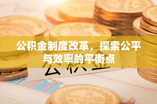 田东公积金制度改革，探索公平与效率的平衡点
