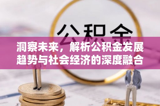 田东洞察未来，解析公积金发展趋势与社会经济的深度融合