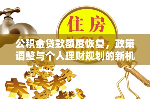 田东公积金贷款额度恢复，政策调整与个人理财规划的新机遇