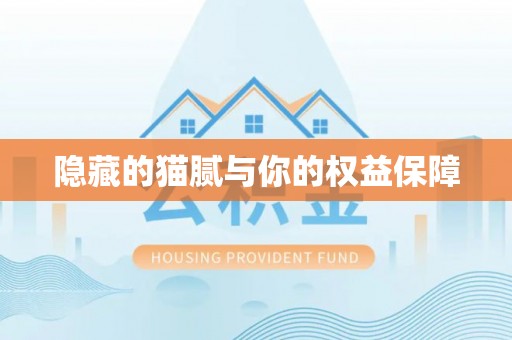 田东隐藏的猫腻与你的权益保障