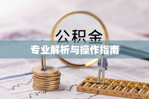 田东专业解析与操作指南