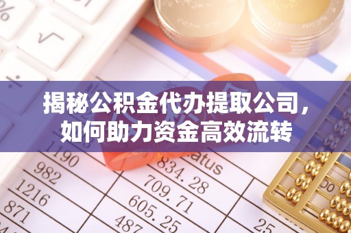 田东揭秘公积金代办提取公司，如何助力资金高效流转