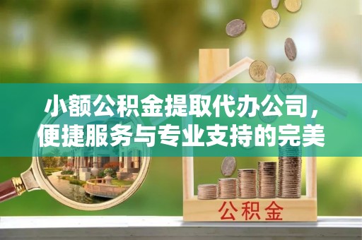 田东小额公积金提取代办公司，便捷服务与专业支持的完美结合