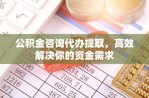 田东公积金咨询代办提取，高效解决你的资金需求