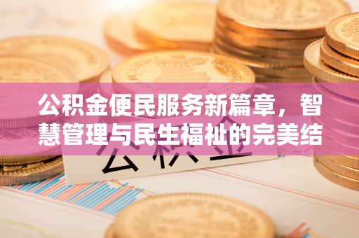 田东公积金便民服务新篇章，智慧管理与民生福祉的完美结合