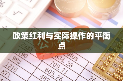 田东政策红利与实际操作的平衡点