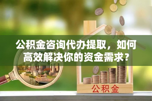田东公积金咨询代办提取，如何高效解决你的资金需求？