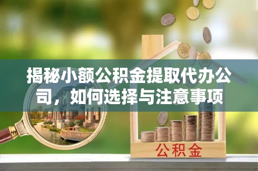 田东揭秘小额公积金提取代办公司，如何选择与注意事项
