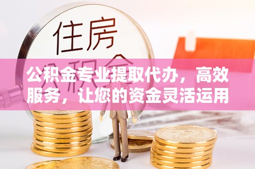 田东公积金专业提取代办，高效服务，让您的资金灵活运用