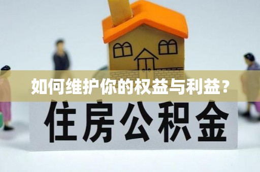 田东如何维护你的权益与利益？