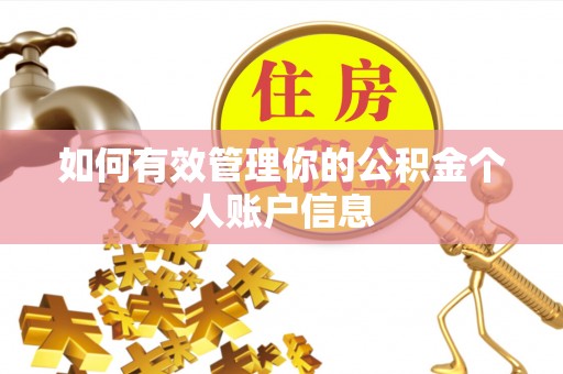 田东如何有效管理你的公积金个人账户信息