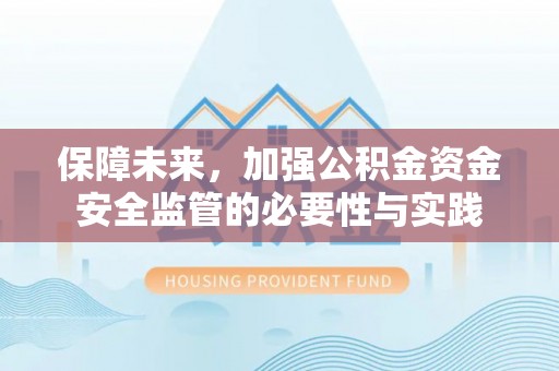 田东保障未来，加强公积金资金安全监管的必要性与实践