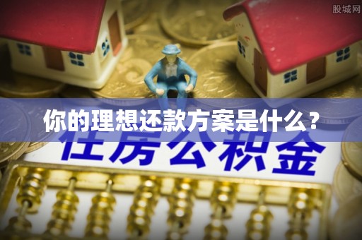 田东你的理想还款方案是什么？