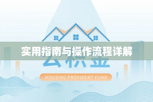 田东实用指南与操作流程详解
