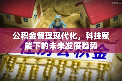 田东公积金管理现代化，科技赋能下的未来发展趋势