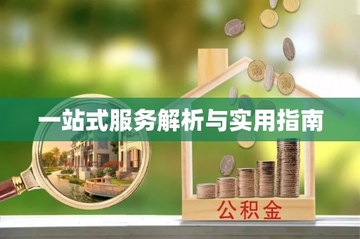 田东一站式服务解析与实用指南
