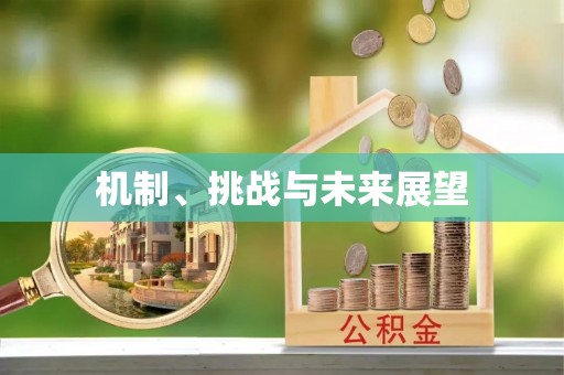田东机制、挑战与未来展望