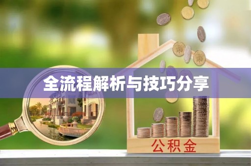 田东全流程解析与技巧分享