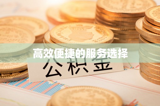 田东高效便捷的服务选择