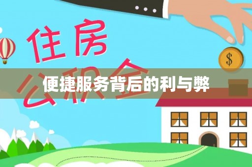田东便捷服务背后的利与弊